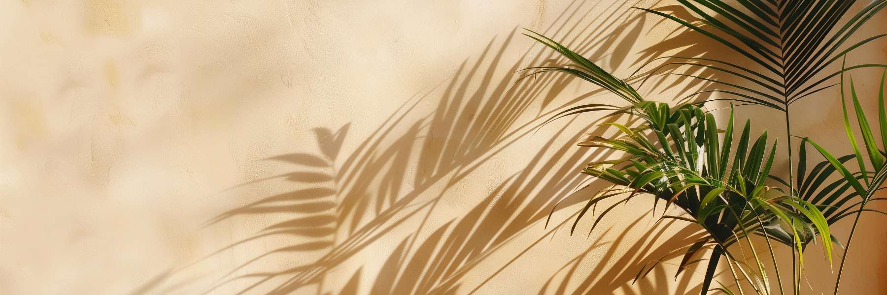 Family Dentistry | Dentist