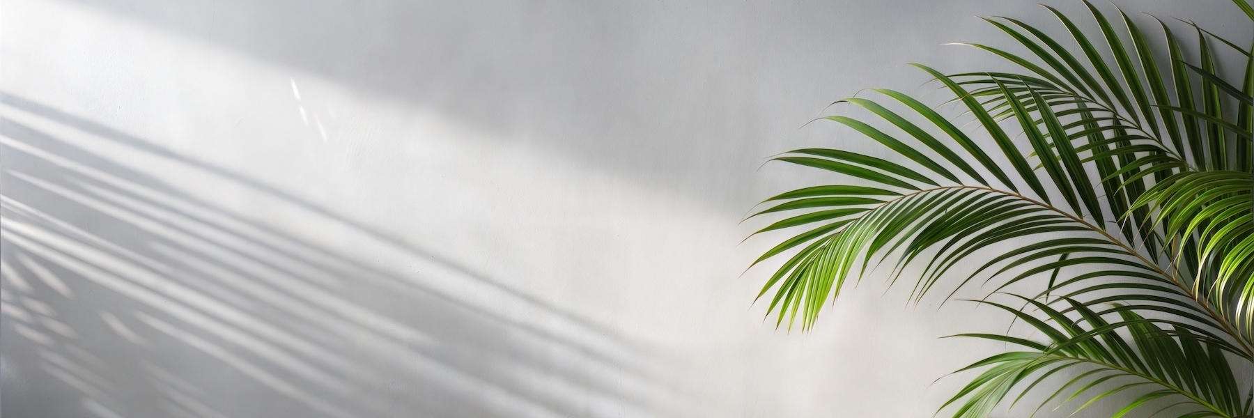 Preventive Dentistry and Periodontal Care | Dentist