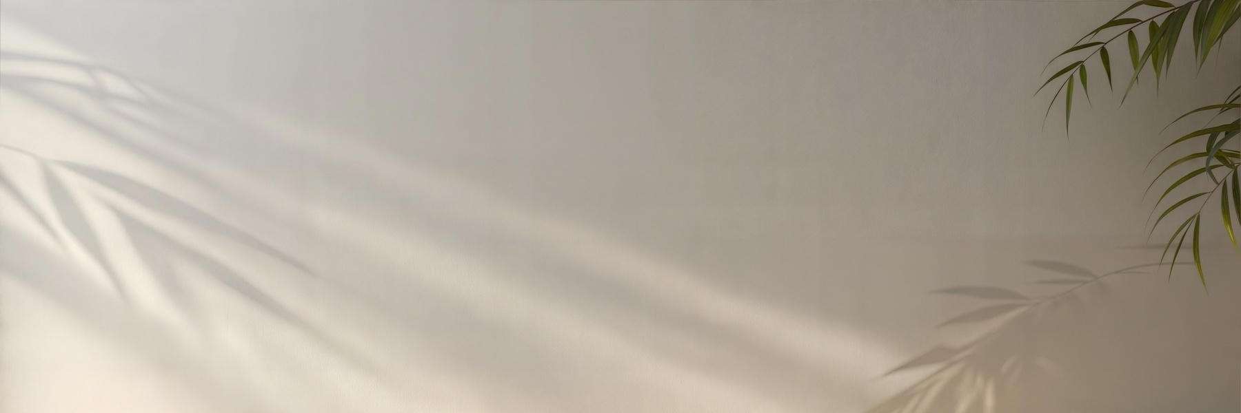 Sleep Apnea | Dentist